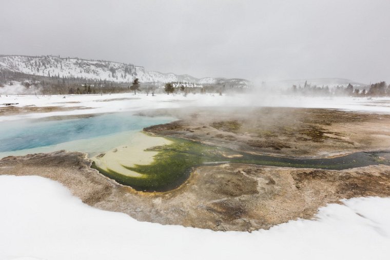 50 Yellowstone NP.jpg